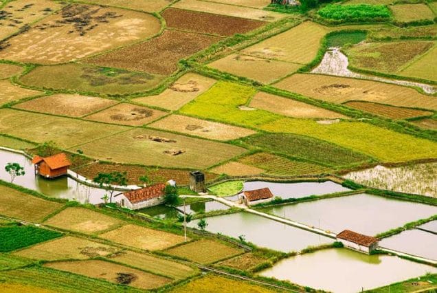 voyage-en-famille-vietnam