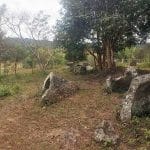Plaine des jarres au Laos