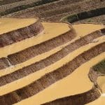 Voyager vietnam, quand partir?