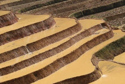 Voyager vietnam, quand partir?