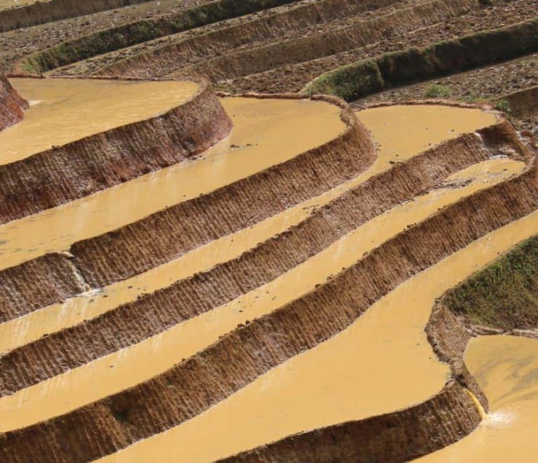 Voyager vietnam, quand partir?