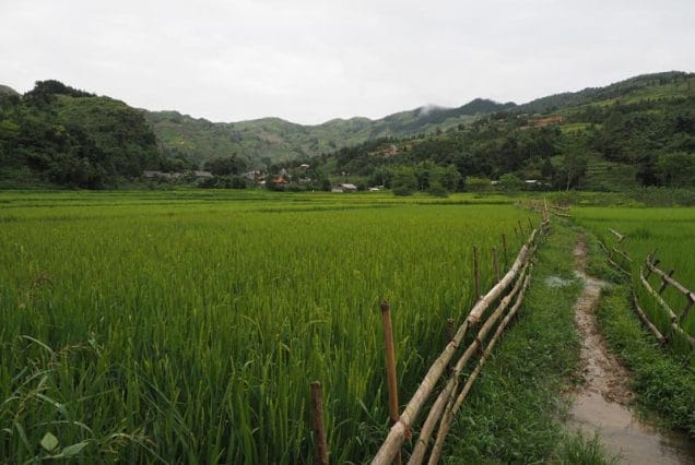vietnam-treks-bac-ha