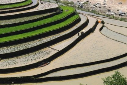 Rizières en terrace à Mu cang chai, Vietnam