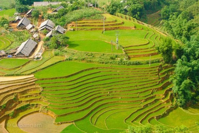 Circuit Nord Vietnam en 10 jours