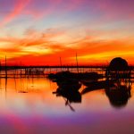 Lagoon Tam Giang