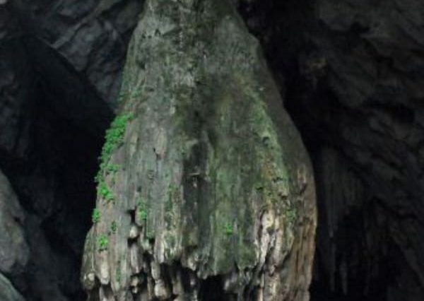 stalagmite de pagode parfums