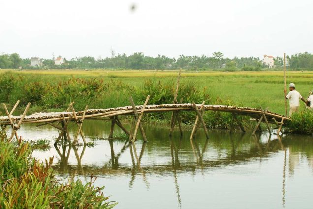 quand partir Hoi an
