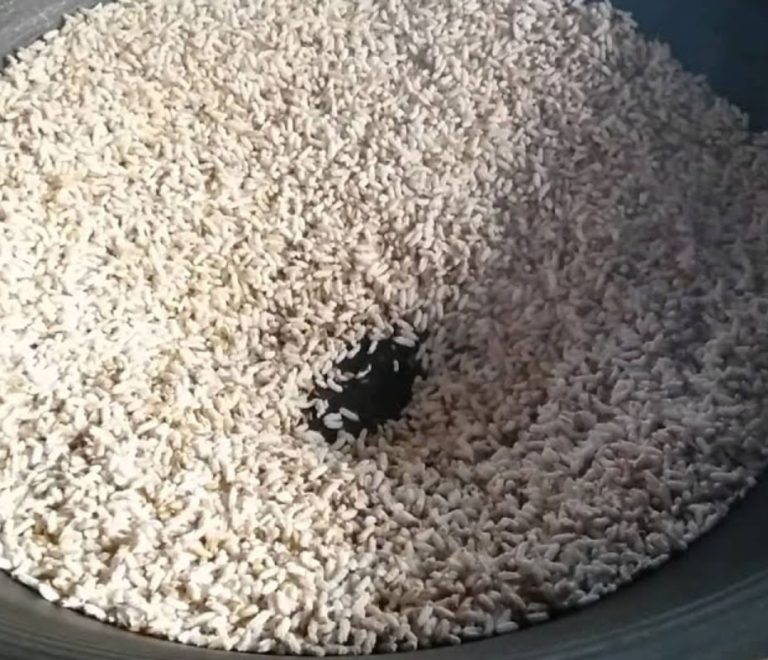 riz soufflé