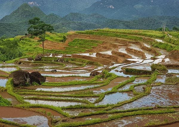 Ban Huou Pu Luong