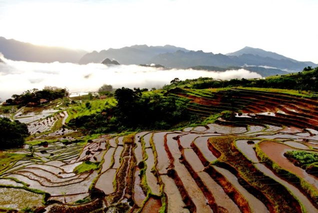 Circuit trek à Pu Luong