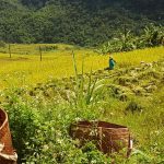 Trek à Pu Luong