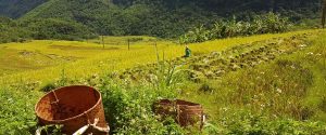 Trek à Pu Luong