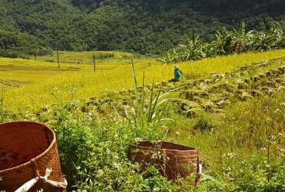 Voyage Vietnam trekking