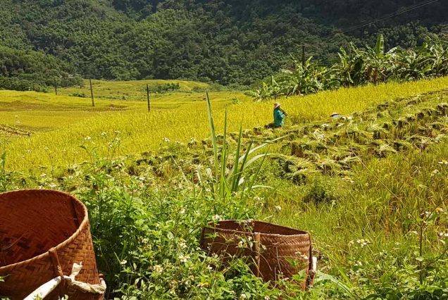 Trek à Pu Luong