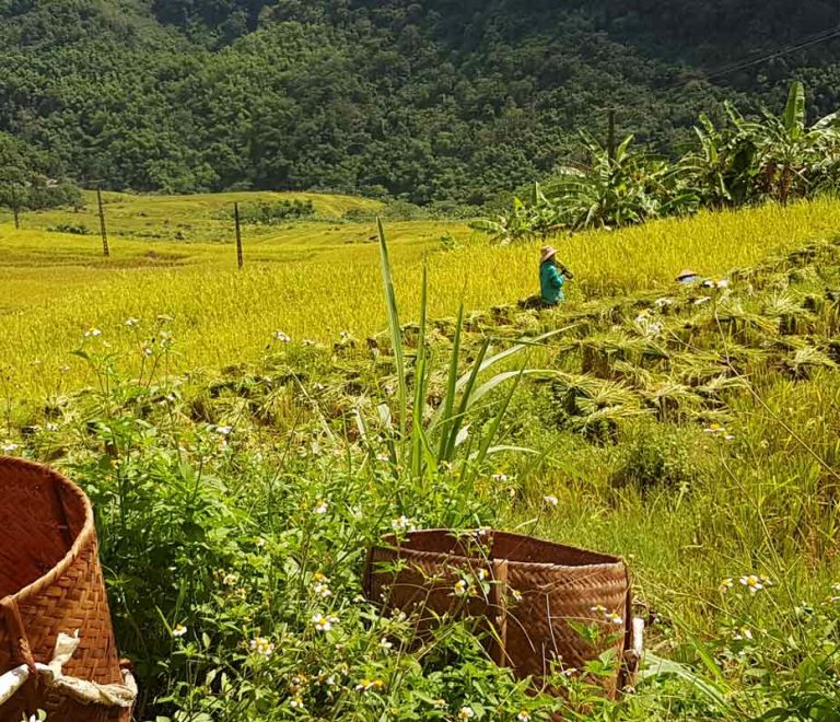 Trek à Pu Luong