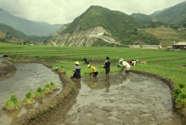 voyage-au-vietnam-a-pied