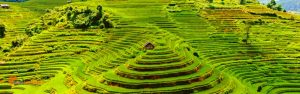 Séjour à Yen Bai: nature et culture au Vietnam