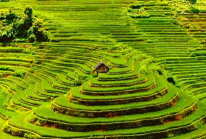 Séjour à Yen Bai: nature et culture au Vietnam