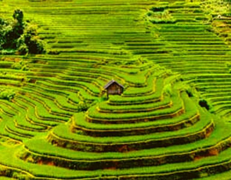 Séjour à Yen Bai: nature et culture au Vietnam