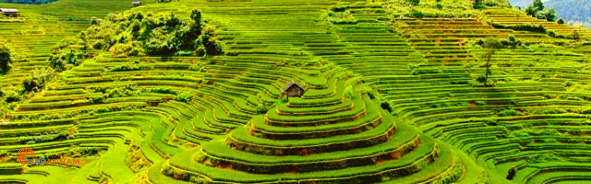 Séjour à Yen Bai: nature et culture au Vietnam