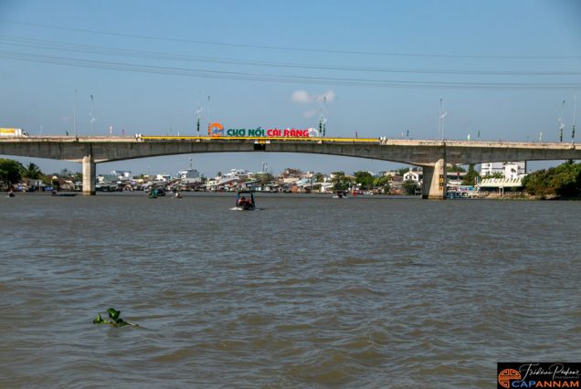 marche flottant de Cai Rang