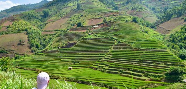 VIET NAM